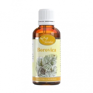 Borovica – tinktúra z pupeňov 50ml